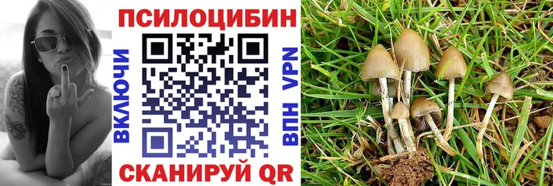 Псилоцибиновые грибы Psilocybine cubensis  сколько стоит  мега как зайти  Правдинск 